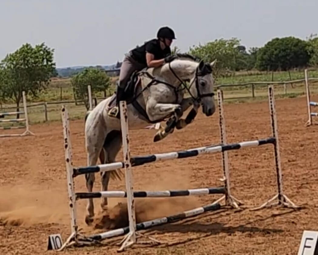 Zonjati Allegro (Sire)